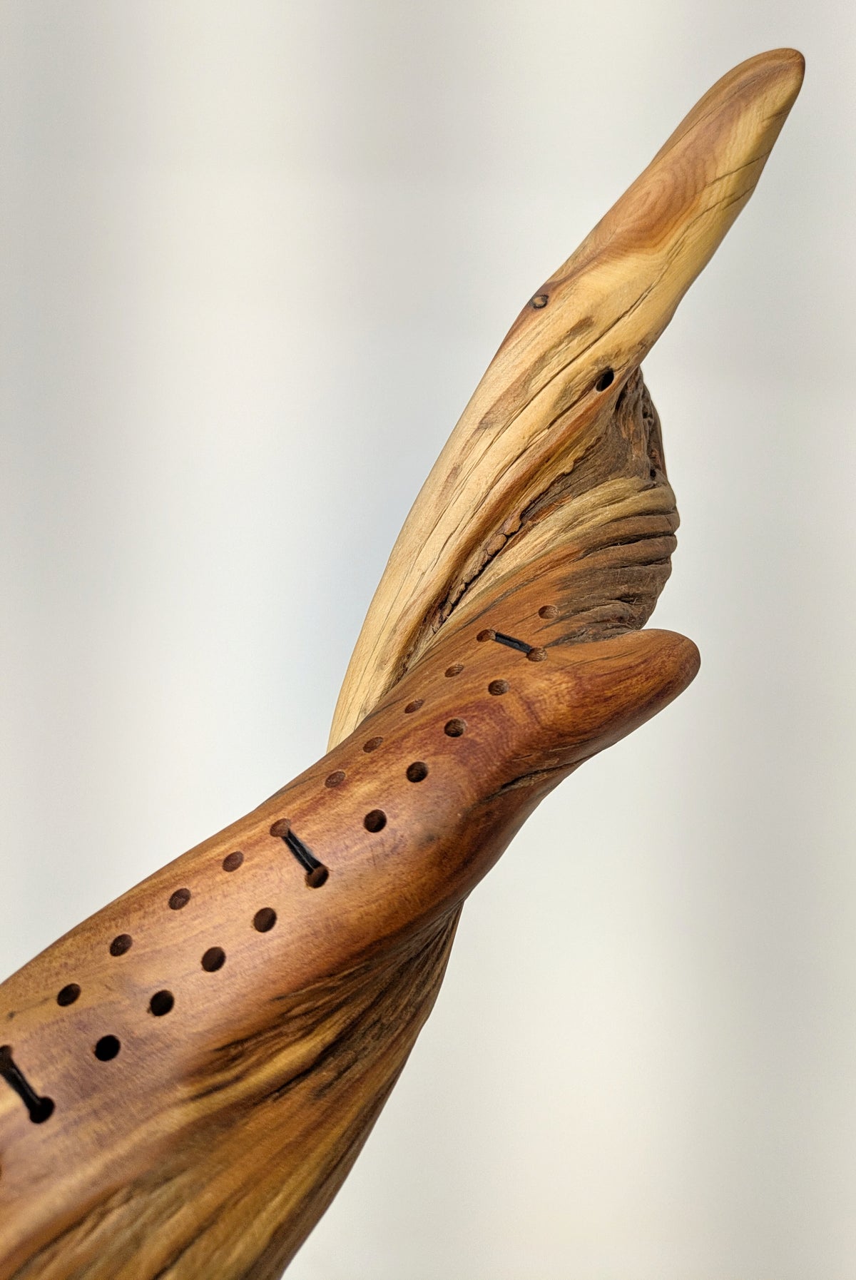 Handcrafted Rocky Mountain Juniper Cribbage Board  (JCB-02)