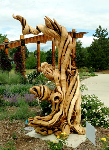 The Behemoth Juniper