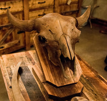 Ancient Bison Skulls