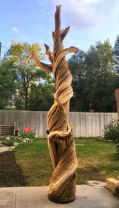 The Corkscrew Juniper