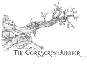 The Corkscrew Juniper