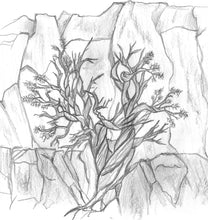 The Grappling Juniper