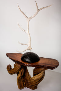 Polished Elk Antlers