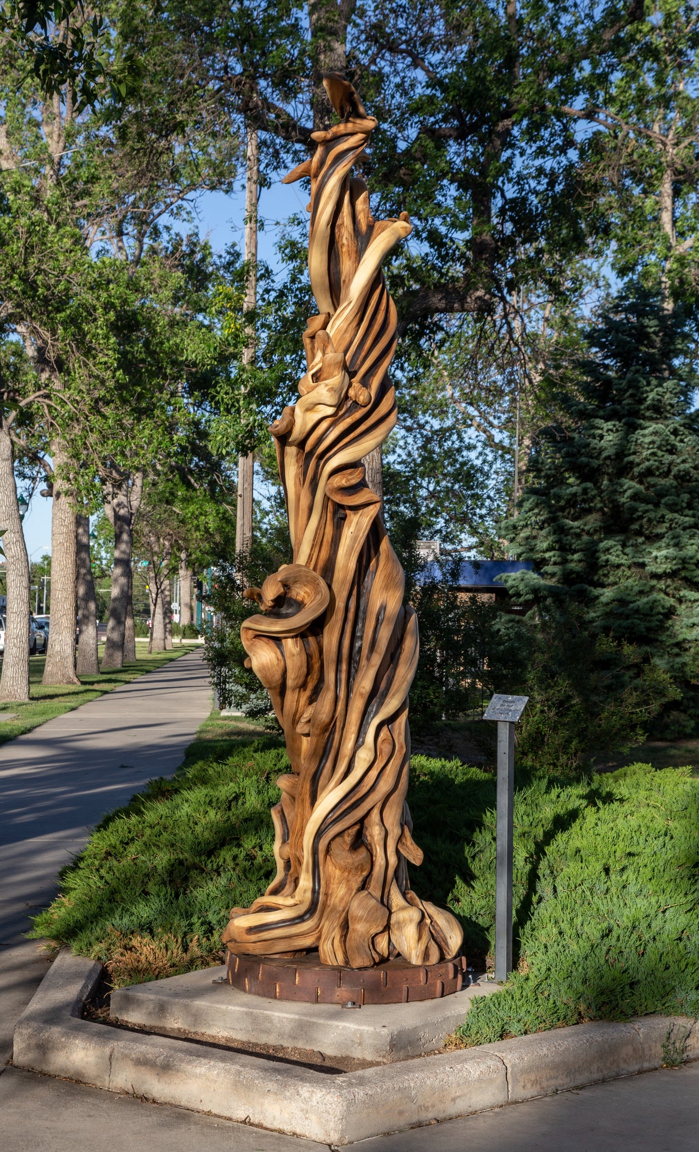 The Whirlwind Juniper