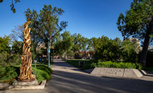 The Whirlwind Juniper